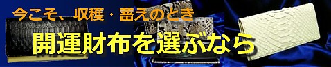 ���ˤ������ᡢ�Ɀ�����ý�